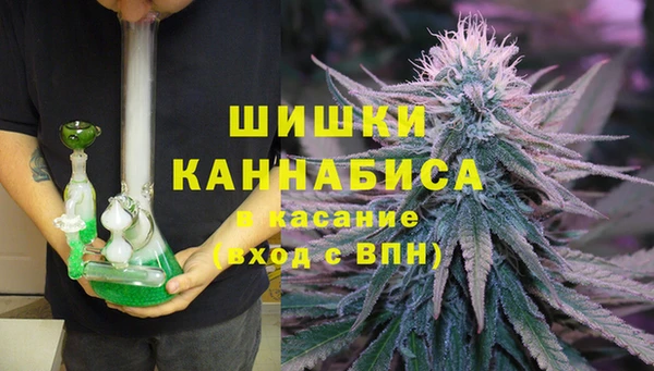 МДПВ Абаза