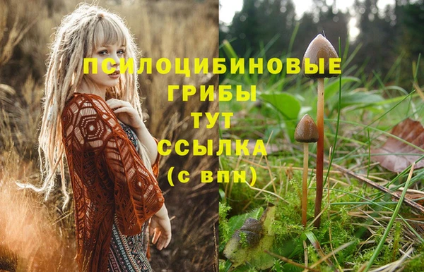 сатива Новый Уренгой