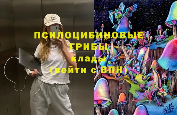 спайс Абинск