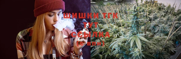 молекула духа Нягань